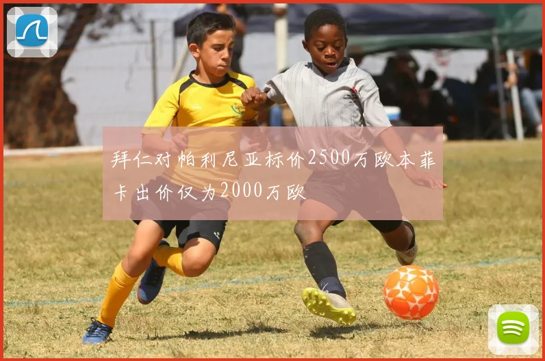 拜仁对帕利尼亚标价2500万欧本菲卡出价仅为2000万欧